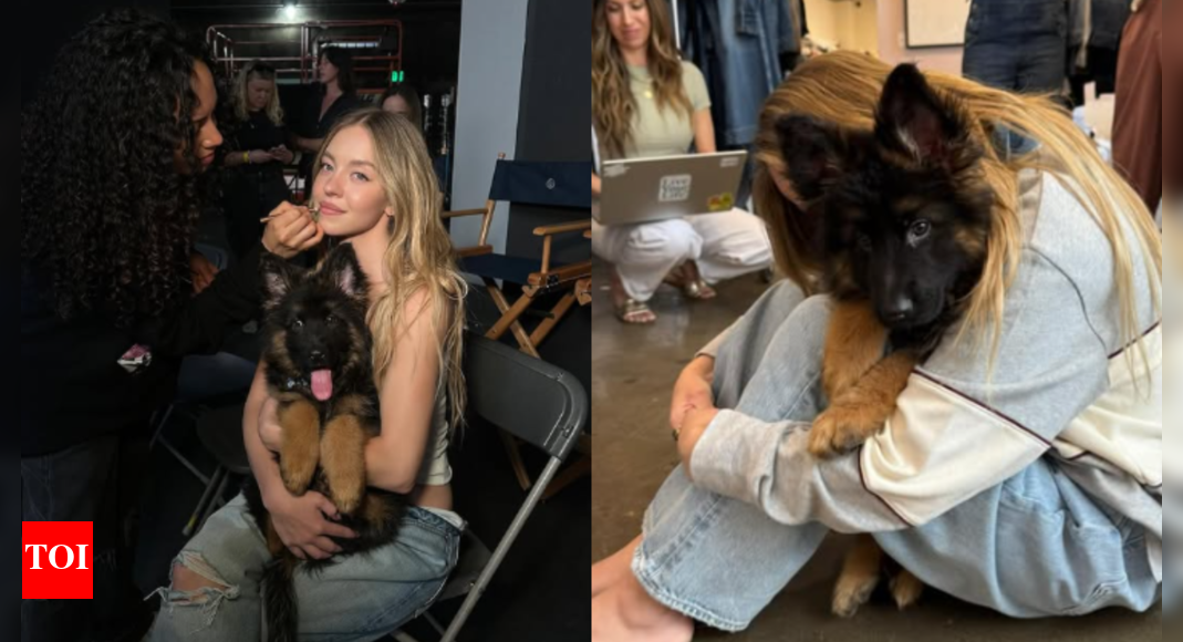now-sydney-sweeney’s-pet-dog-is-branded-as-‘nazi-pet’-as-backlash-over-jeans-ad-intensifies