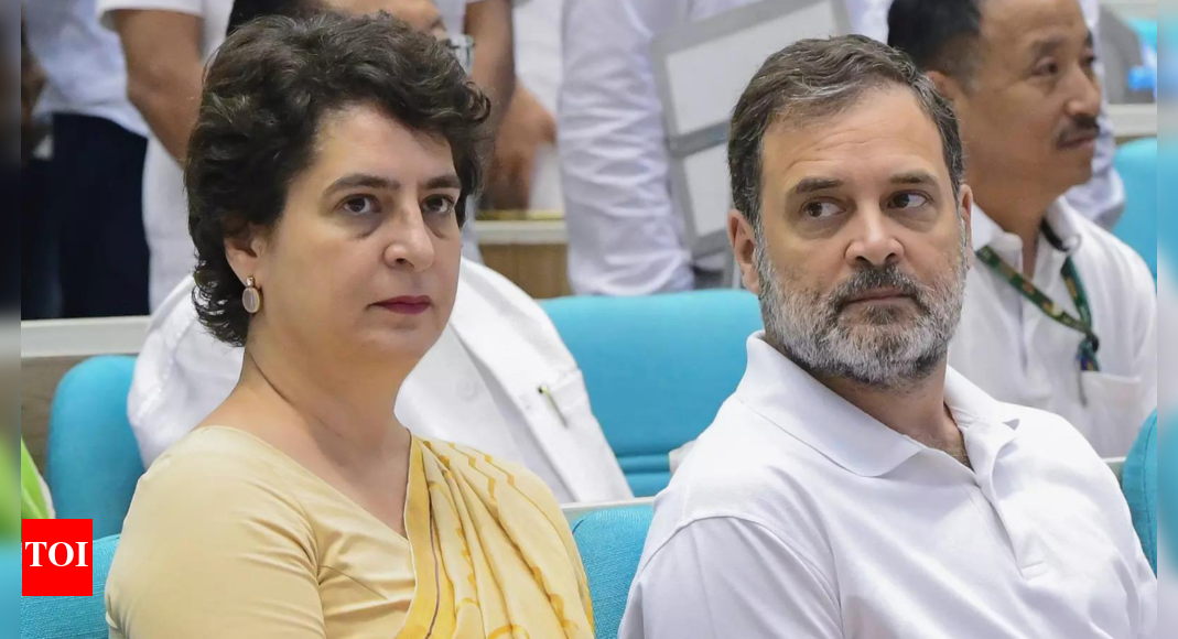 ‘irresponsible-statements’:-bjp-to-file-contempt-petition-against-priyanka’s-sc-remarks