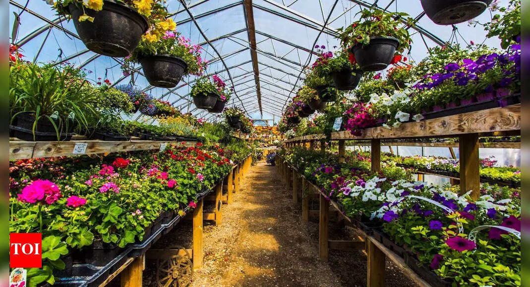 6-items-you-should-never-store-in-a-greenhouse:-they-could-damage-tools,-seeds,-and-plants