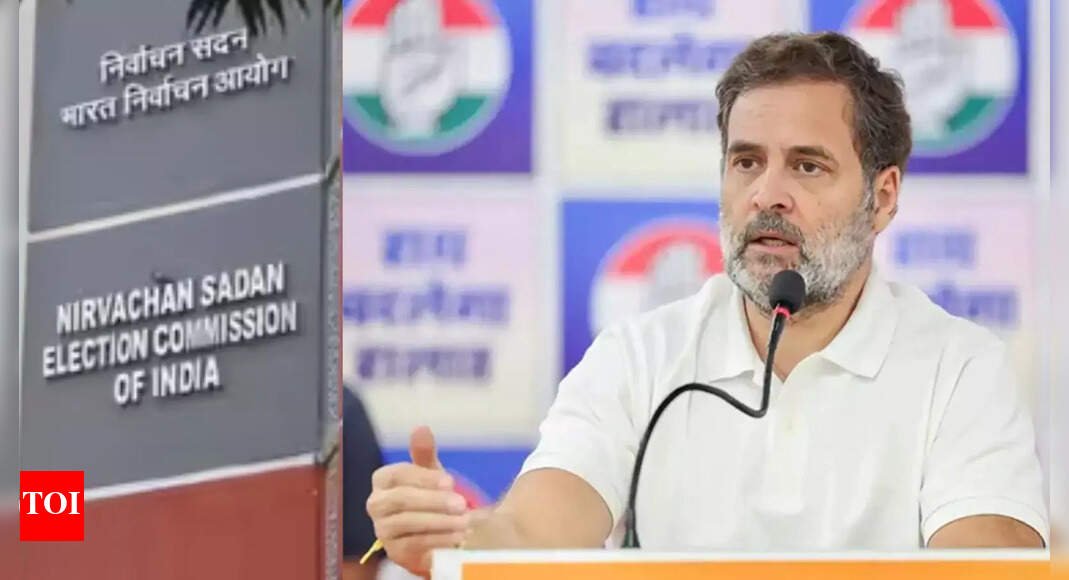 ‘voter-fraud’-row:-bjp-takes-jab-at-rahul-with-video-reply