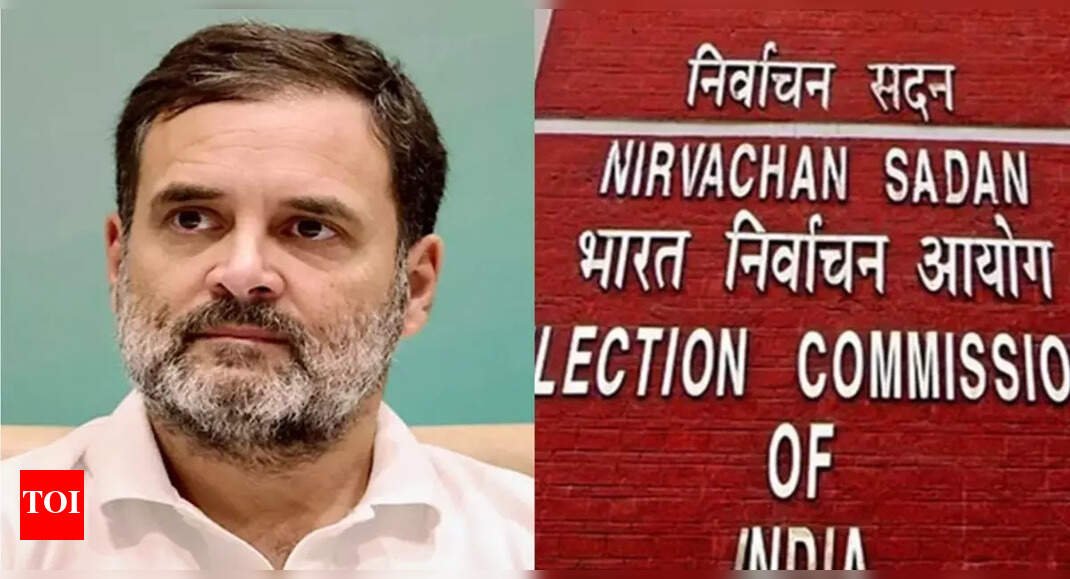 good-enough-for-k’taka-govt:-ec-takes-jab-at-rahul’s-vote-theft-claim