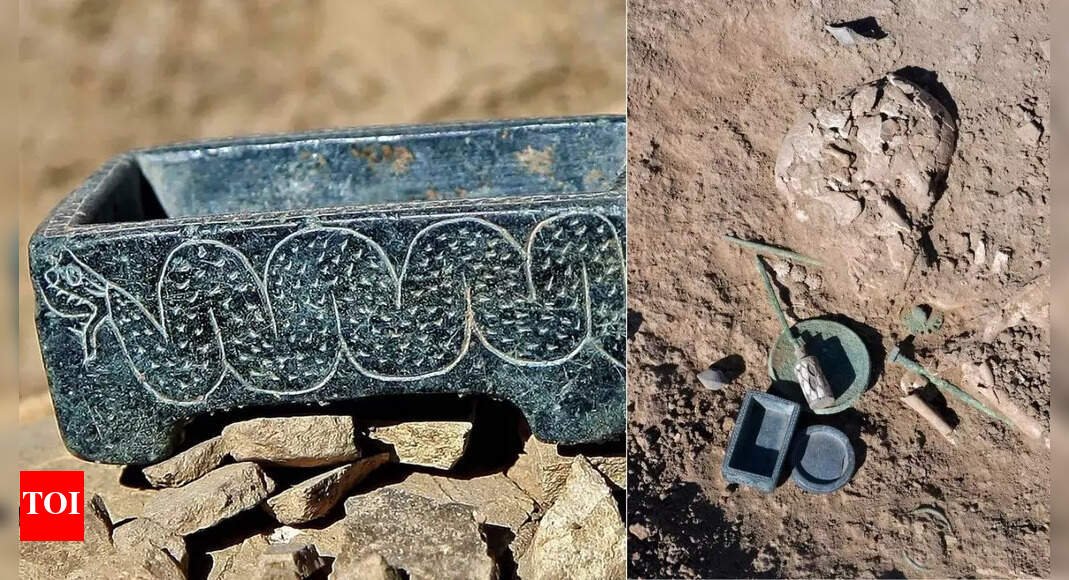 snake-and-scorpion-decorated-cosmetic-box-found-in-3,000-year-old-elite-girl-burial-in-iran