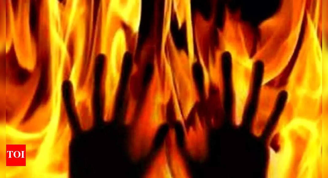 udaipur-shocker:-woman,-mother-in-law-burnt-alive-after-dispute