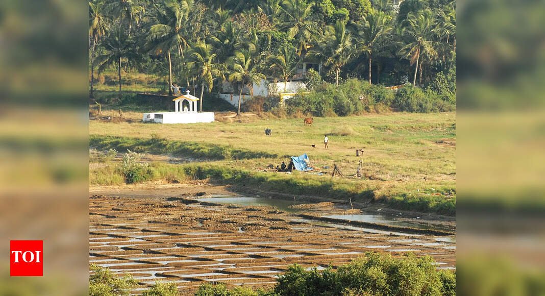 carmona-p’yat-halts-alleged-illegal-land-filling