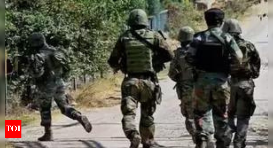 army-troops-launch-anti-terror-operation-in-kishtwar;-gunfire-exchanged