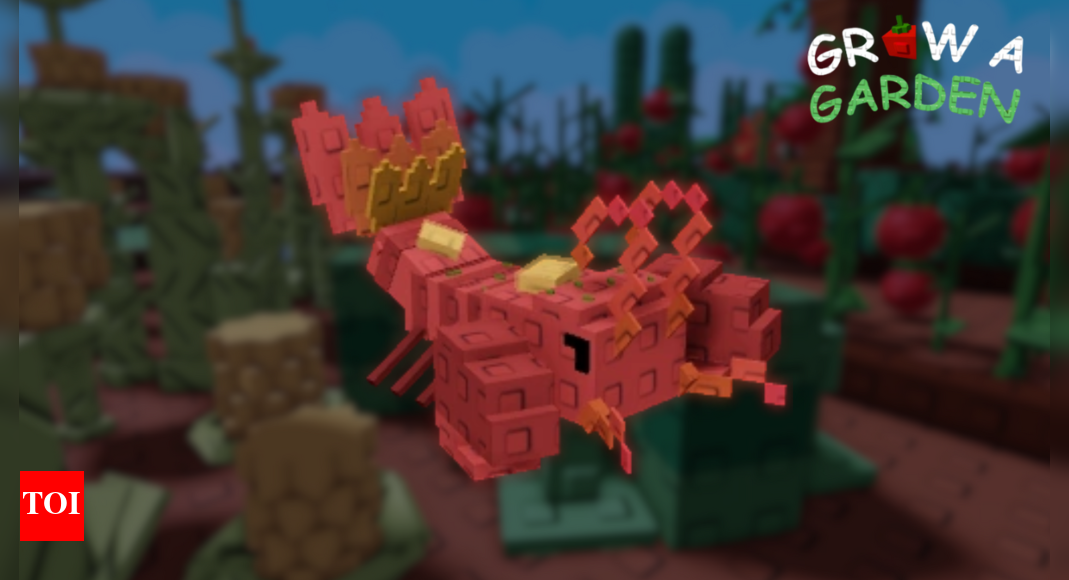 how-to-get-and-use-lobster-thermidor-in-roblox-grow-a-garden