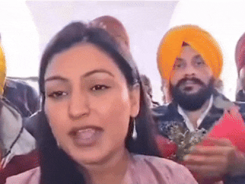 पंजाब-aap-विधायक-अनमोल-की-विधानसभा-कमेटी-से-छुट्टी:क्वेश्चन-एंड-रेफरेंस-कमेटी-में-नीना-मित्तल-शामिल;-mla-धालीवाल-की-भी-एंट्री