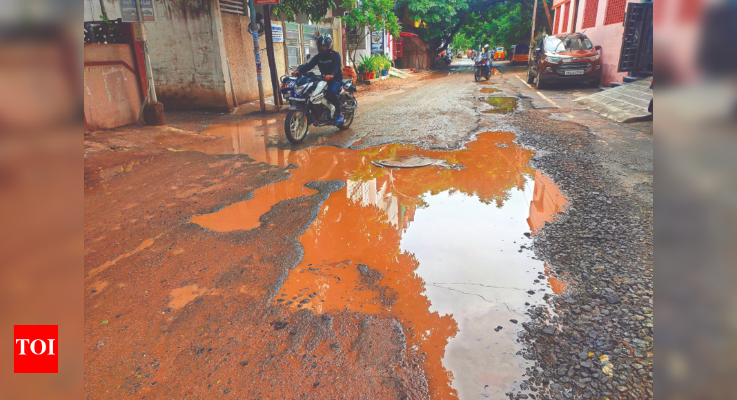 tamil-nadu’s-shoddy-roads:-here,-the-right-to-life-ends-in-a-pothole