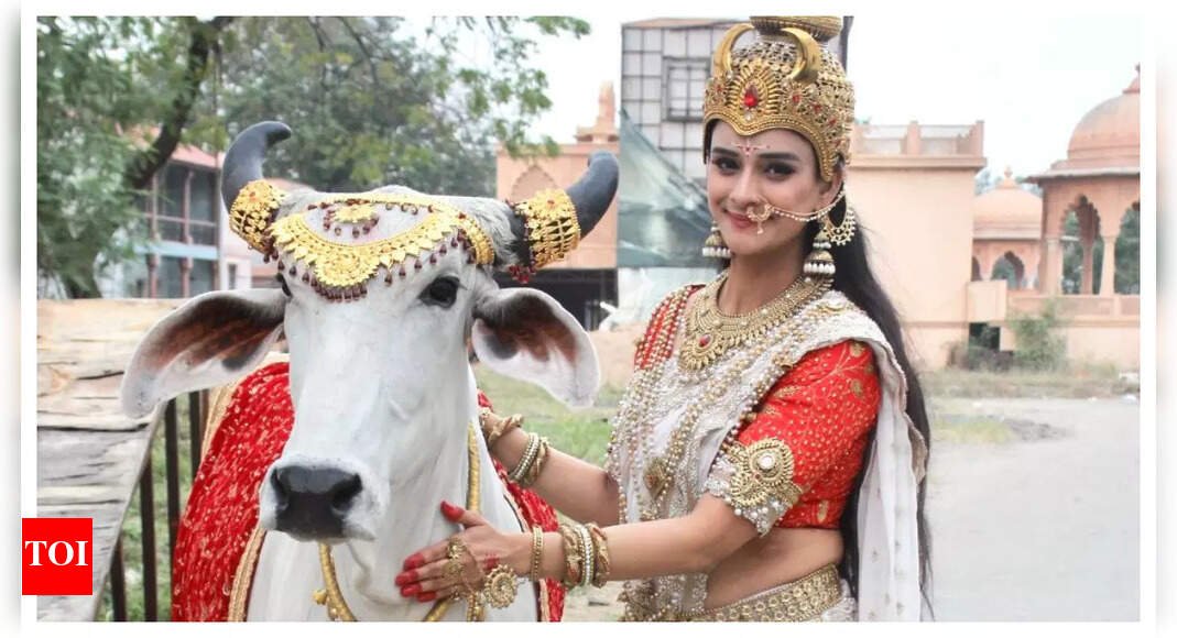 exclusive-–-harleen-kaur-rekhi-on-playing-the-lead-in-kaamdhenu-gaumata:-it’s-an-absolute-blessing