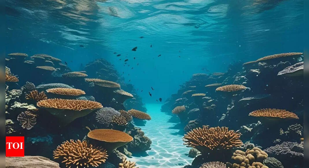 117-million-year-old-mud-waves-study:-atlantic’s-birth-revealed;-key-findings