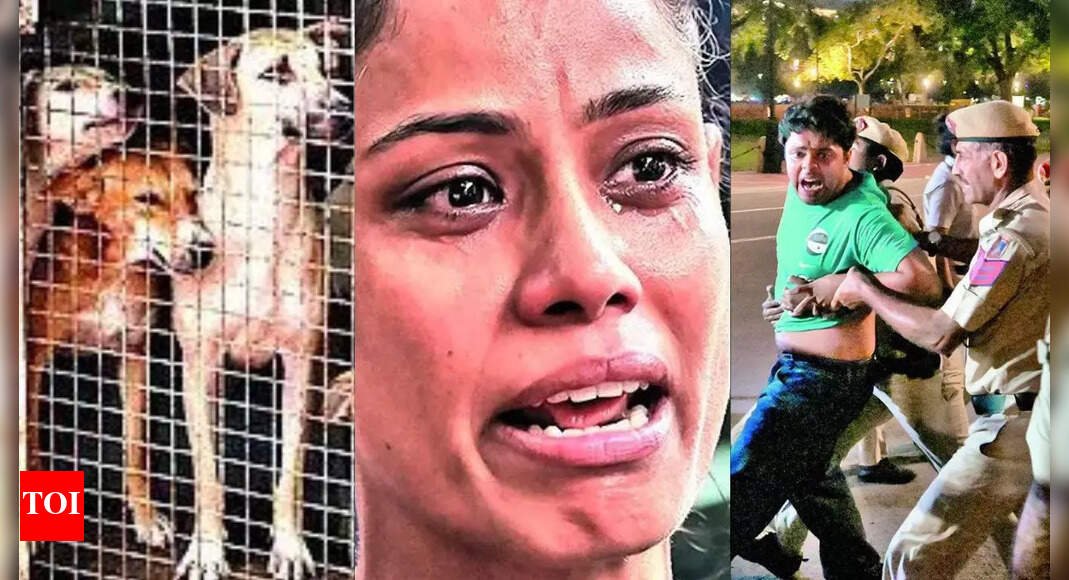 ‘unscientific-and-inhumane’:-activists-say-sc-order-goes-against-govt’s-2023-rule