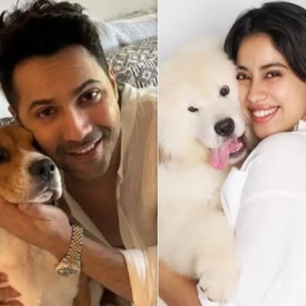 आवारा-कुत्तों-पर-सुप्रीम-कोर्ट-के-आदेश-का-विरोध:जान्हवी-कपूर,-वरुण-धवन-समेत-कई-सेलेब्स-ने-जताई-आपत्ति,-sc-का-आदेश-8-दिनों-में-शहर-से-हटाएं