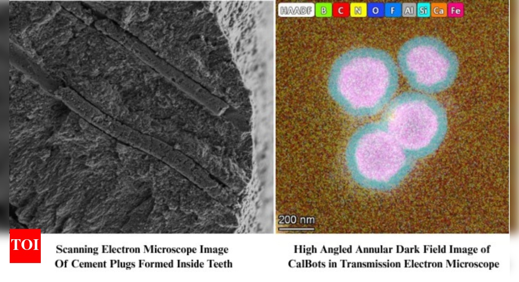 iisc,-startup-develop-magnetic-nanobots-to-treat-tooth-sensitivity