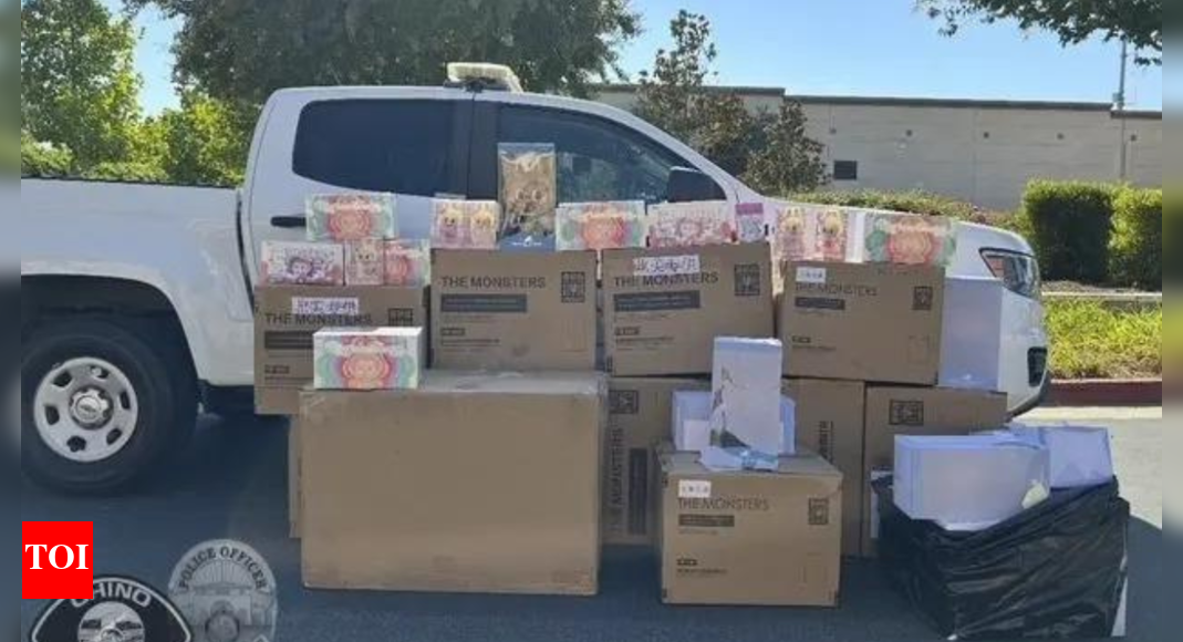 $30k-theft:-14-boxes-of-stolen-labubu-dolls-recovered-in-california;-minor-warehouse-workers-arrested