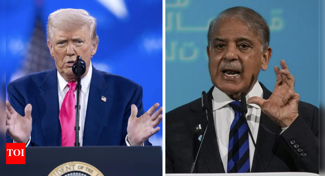 oil,-crypto-or-rare-earths?-what’s-behind-donald-trump’s-new-found-love-for-pakistan