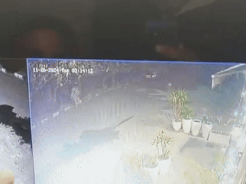 रैपर-बादशाह-के-क्लब-पर-धमाका-करने-वाला-गिरफ्तार:दिल्ली-से-पकड़ा,-गोल्डी-बराड़-से-जुड़ा-था;-चंडीगढ़-के-दो-क्लबों-पर-विस्फोट-हुए