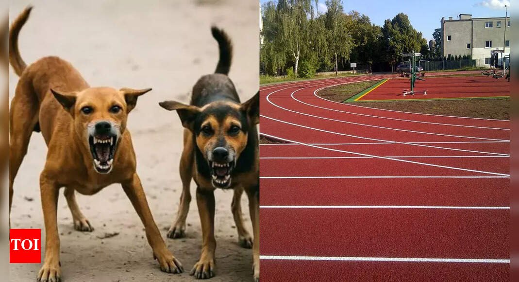 tragic-shocker!-para-athlete-dies-after-rabid-dog-attack