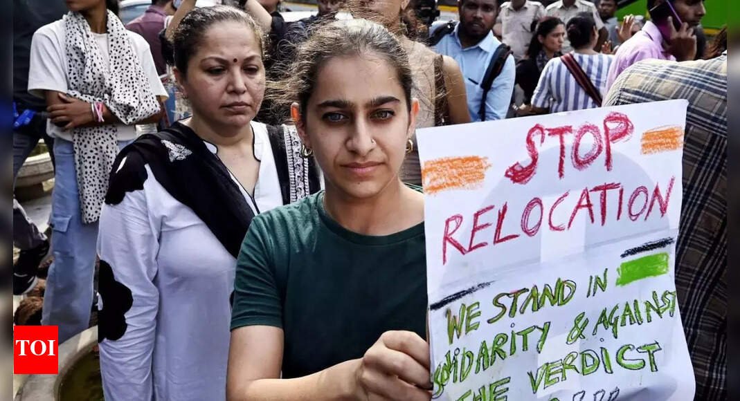 sc-order-on-delhi-stray-dogs:-cji-refers-matter-to-3-judge-bench;-hearing-tomorrow