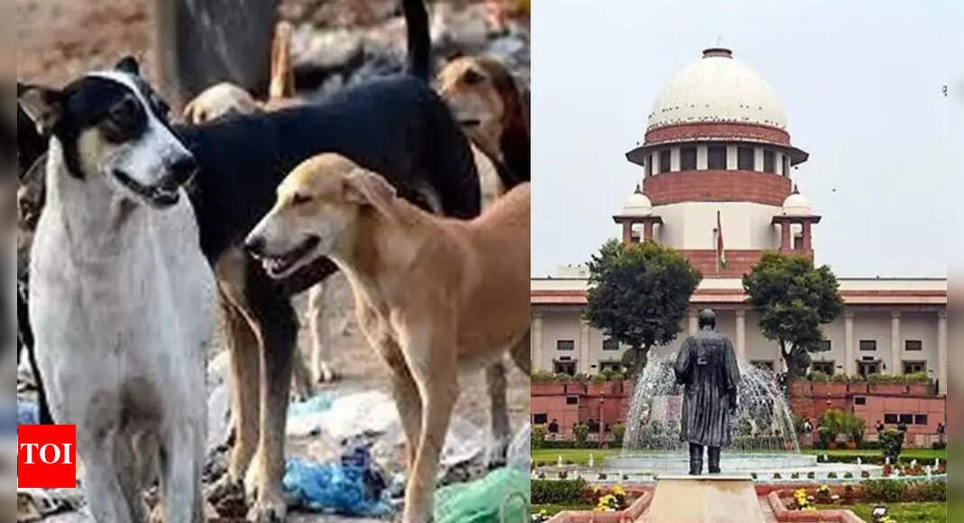 stray-dogs-issue:-do-not-ascribe-to-‘virtue-signalling’-over-animal-care,-says-sc;-read-full-order