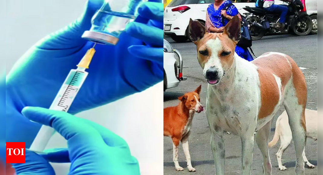 lab-grown-rabies-antibodies-show-promise-as-safe-alternative