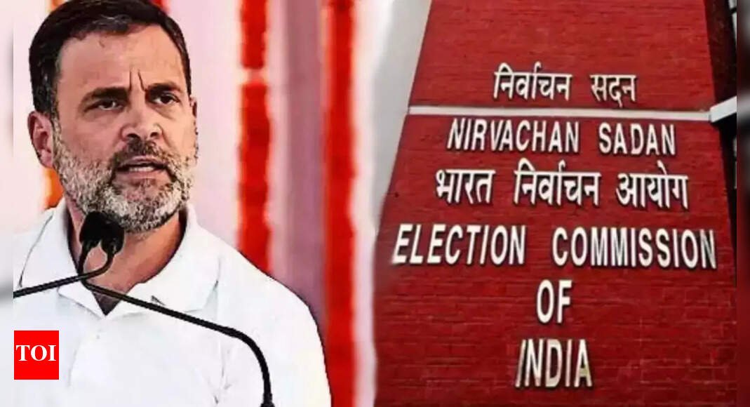 ‘1-person-1-vote-exists-since-1951’:-ec-slams-rahul’s-use-of-term-‘vote-chori’