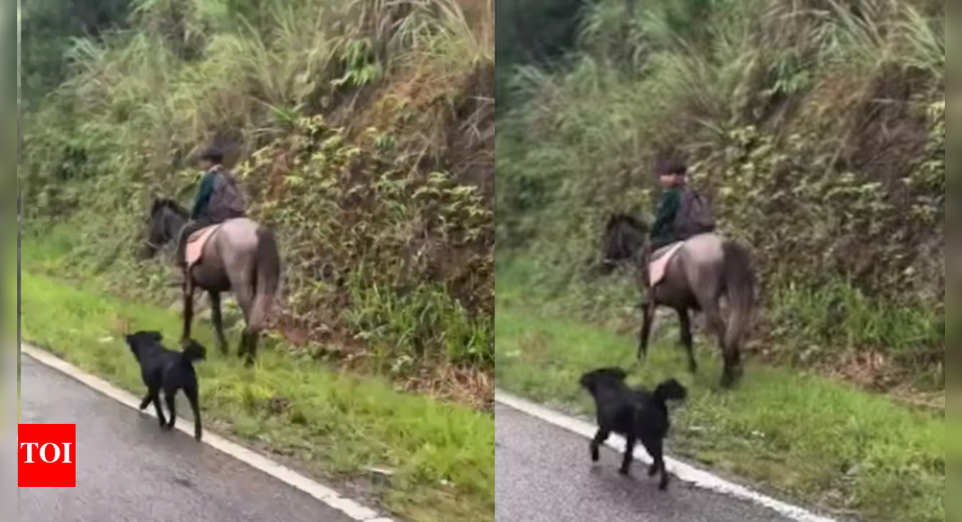 watch:-meghalaya-boy-riding-horse-to-school,-faithful-dog-trots-along;-video-melts-hearts