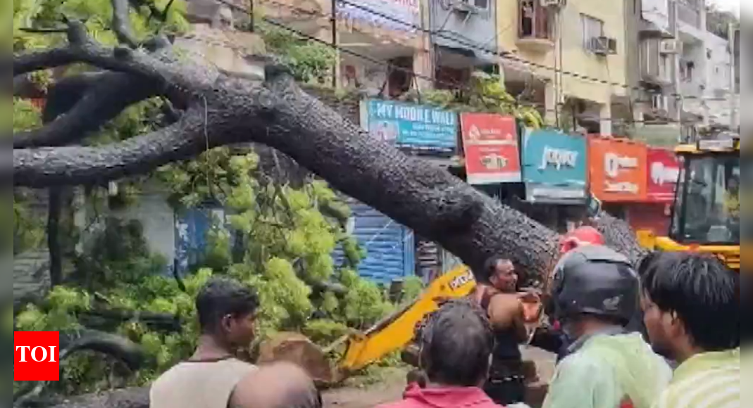 delhi-rain-havoc:-tree-falls-in-kalkaji;-father-daughter-duo-critically-injured;-1-rescued-from-car