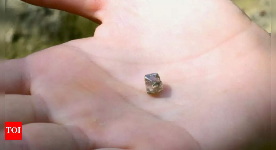 woman-discovers-2.3-carat-diamond-at-state-park,-plans-to-make-it-her-engagement-ring