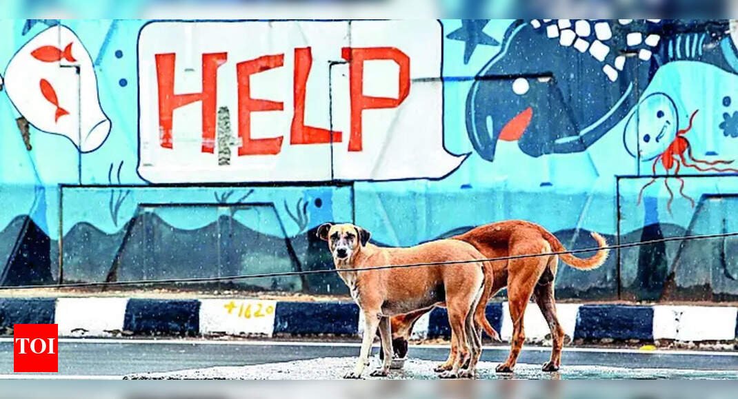 stray-dogs-row-in-supreme-court:-bench-slams-civic-inaction-for-ncr-menace;-reserves-order-after-clash-over-lack-of-shelters,-abc-rule-violations