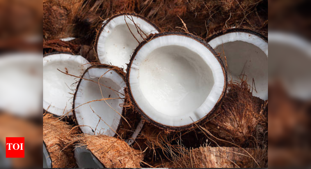 10k-subsidised-coconuts-fly-off-horticulture-corp’s-counters