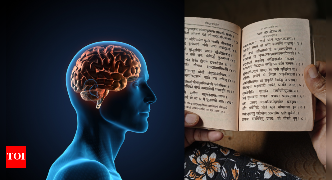 what-is-the-sanskrit-effect?-how-this-ancient-practice-sharpens-memory-and-focus