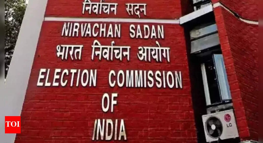 ec-on-‘vote-theft’-row:-parties-should-have-flagged-roll-errors-before-polls;-‘welcome-scrutiny’