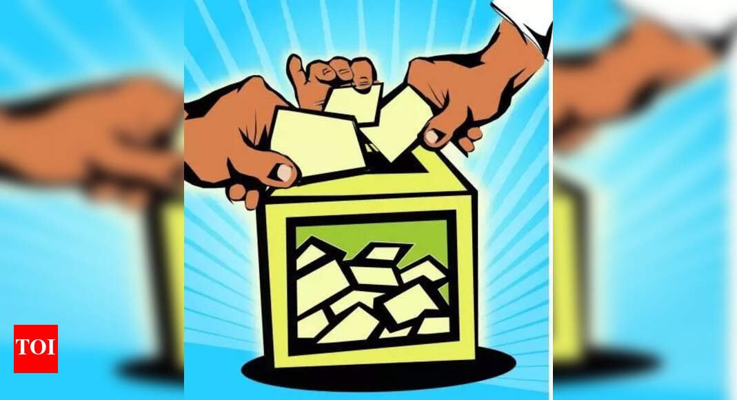 conduct-sir-after-local-body-elections’:-maharashtra-poll-panel-urges-ec
