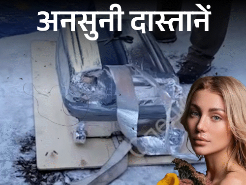 सूटकेस-में-सड़ी-मिली-थी-रूसी-मॉडल-की-लाश:पुतिन-को-कहा-था-साइको;-3-दिन-लाश-के-साथ-सोया-कातिल,-सालभर-गैराज-में-रखी-बॉडी