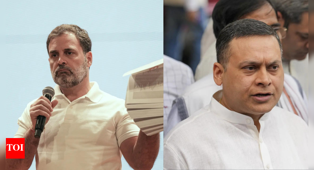 ‘industrial-scale-liar’:-bjp-reacts-after-gurkirat-dang-denies-voting-multiple-times-–-vote-chori-row