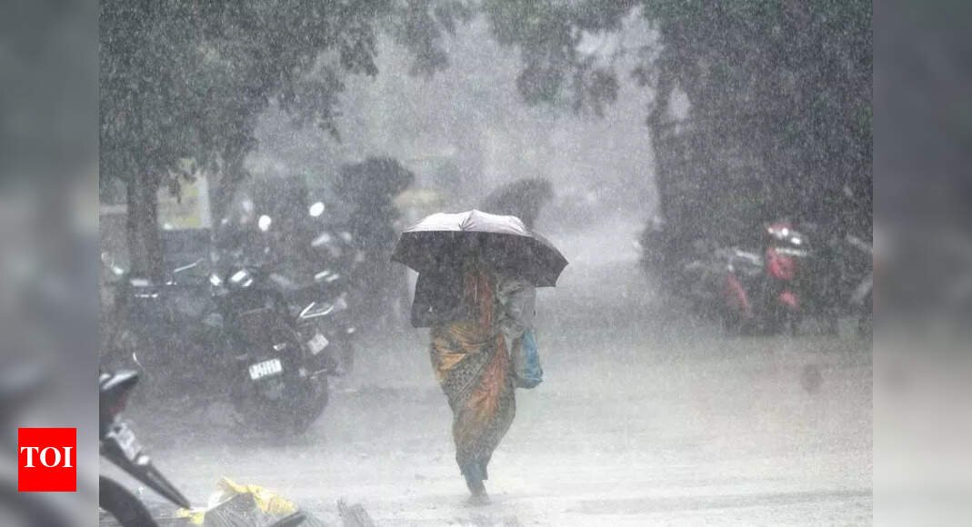 uneven-monsoon-in-punjab-&-haryana:-paddy-districts-see-deficient-&-excess-rainfall;-farmers-monitor-crops-closely