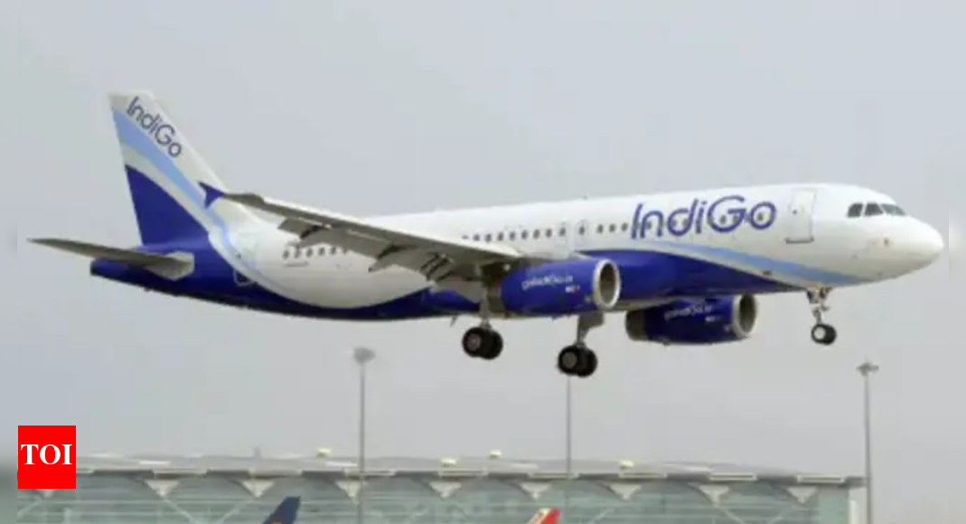 indigo-flight-makes-sudden-‘go-around’:-plane-lands-safely-on-2nd-attempt