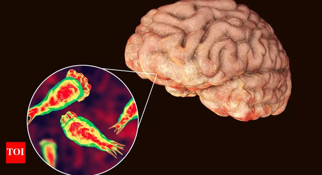 9-year-old-girl-dies-due-to-‘brain-eating-amoeba’-in-kerala