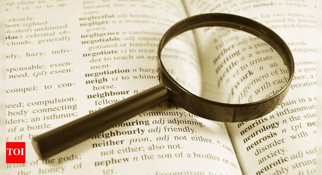 ‘skibidi’,-‘delulu’-and-‘broligarchy’-among-6,000-new-words-added-to-cambridge-dictionary
