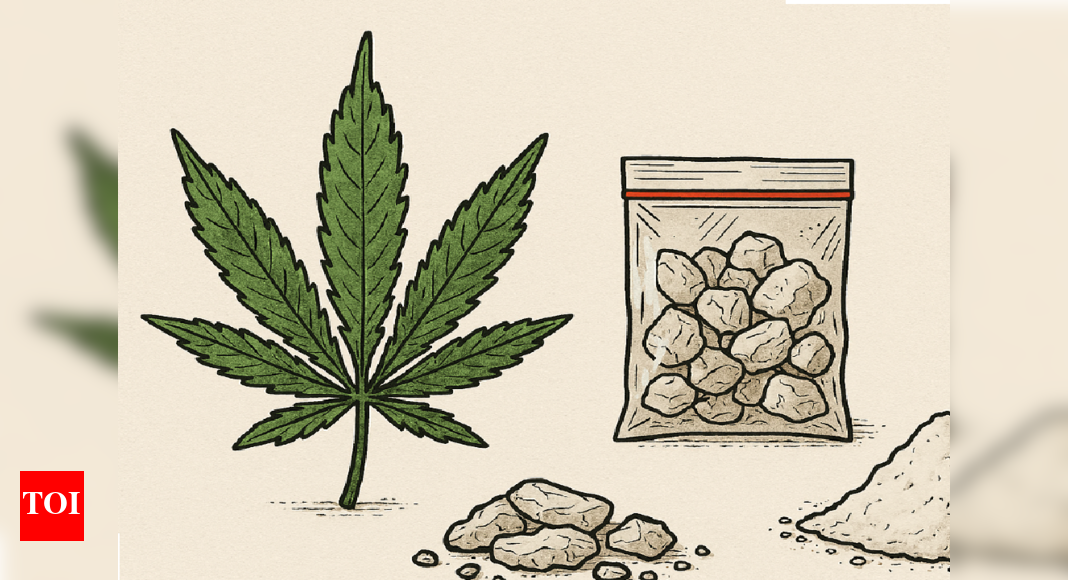 is-tamil-nadu-losing-the-war-on-drugs?-the-surge-of-meth-and-hydroponic-weed-raises-alarms