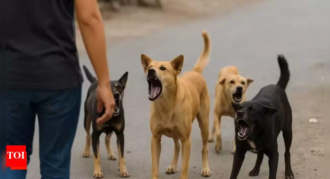 goa-considers-identifying-land-for-stray-dog-shelters