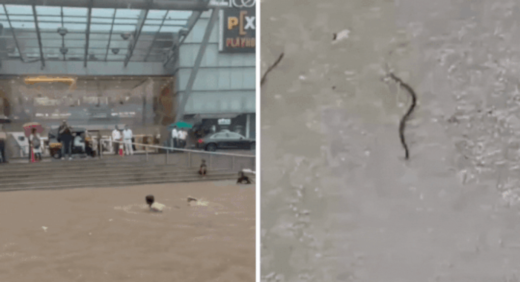 snakes-slithered,-rivers-overflowed:-what-mumbai-rains-did-to-city-–-10-videos-that-show-havoc