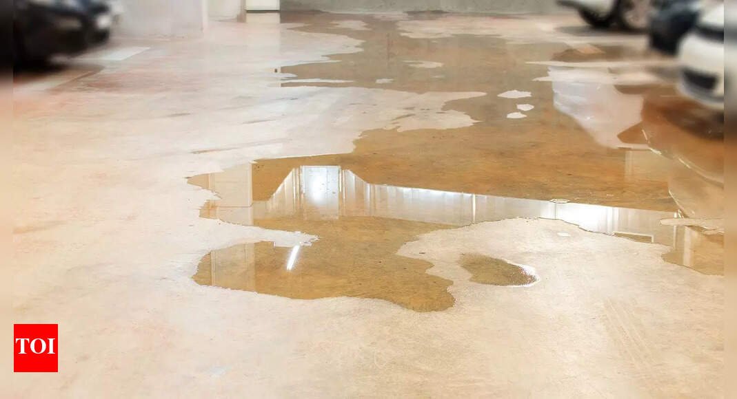 how-to-prevent-flooding-issues-in-your-basement-during-heavy-rainfall