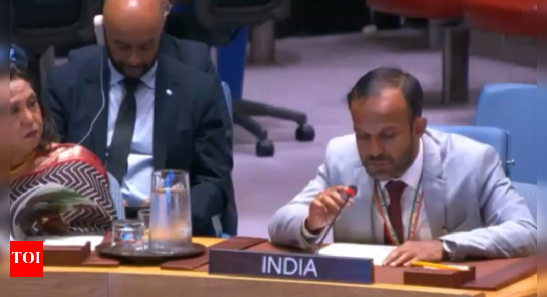 sexual-violence-against-women:-india-calls-out-pak’s-‘hypocrisy’-at-un