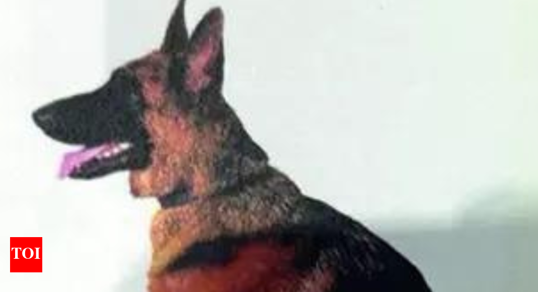sniffer-dog-attacks-4-year-old-at-kolkata-airport