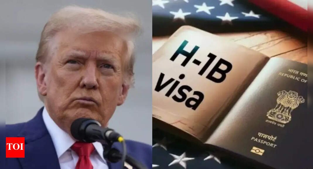 no-more-worker-visas-for-truck-drivers:-us-to-review-55m-american-visas-globally;-5m-held-by-indians