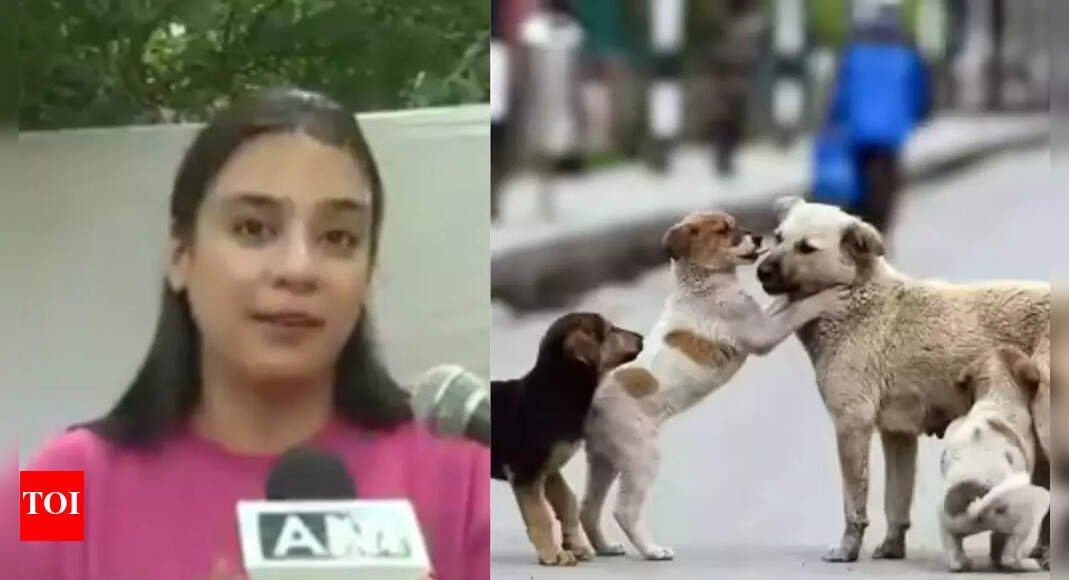 ‘our-babies-got-justice’,-rejoice-animal-activists-after-sc-verdict-on-stray-dogs