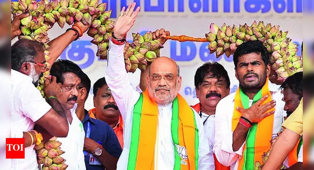 oppositon-vp-pick-has-‘ideological-support’-for-naxalism:-shah