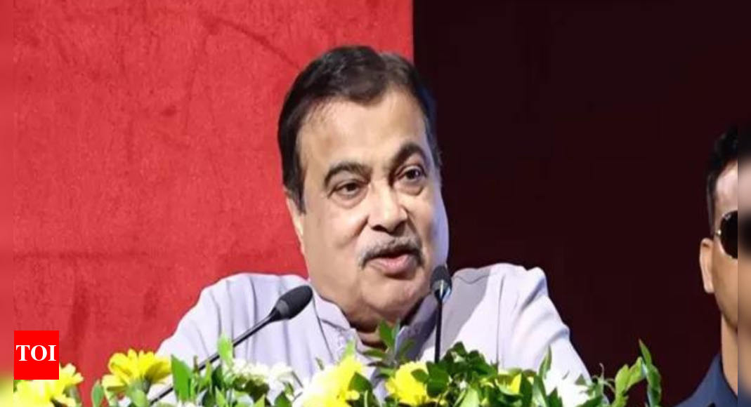 india-developing-world-class-infra-at-reduced-cost,-says-gadkari