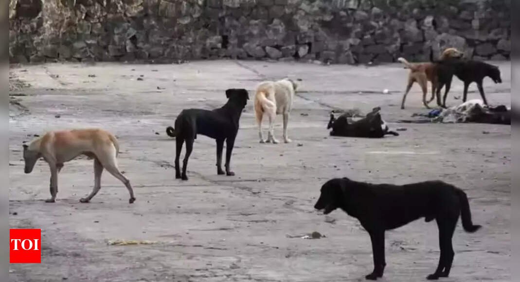 delhi:-peaceful-protest-in-rohini-over-alleged-poor-treatment-of-dogs-at-shelter
